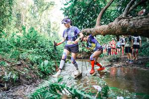 BIB: 
                            <button type="button" onclick="openModal(25516074)" class="btn btn-primary btn-sm float-right btn-popup" data-toggle="modal" data-target=".modal-high-quality">
                        <i class="fas fa-shopping-cart"></i> Add to Cart
                    </button>
                                            <button type="button" onclick="isThisMe(25516074, true)" class="btn btn-success btn-sm float-right btn-popup btn-isme hidden" data-toggle="tooltip" data-placement="bottom" title="นี่คือรูปของคุณใช่ไหม คลิกที่นี่เพื่อเอาเข้าอัลบั้ม">
                        <i class="fas fa-plus"></i> Add to album
                    </button>
                    <button type="button" onclick="isThisMe(25516074, false)" class="btn btn-warning btn-sm float-right btn-popup btn-isnotme hidden">
                        <i class="fas fa-ban"></i> Remove from album
                    </button>